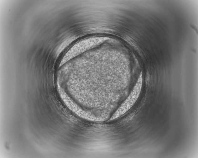 X0000101460877200808041039