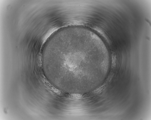 X0000101460878200808041039