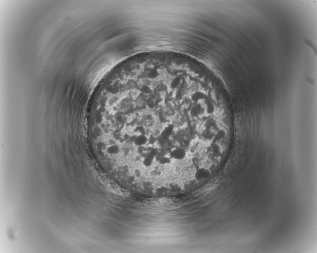 X0000101460879200808041039