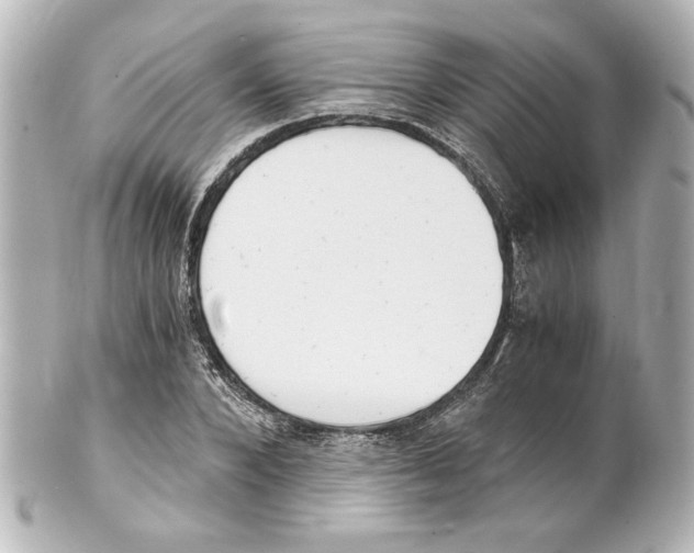 X0000101460880200808041039