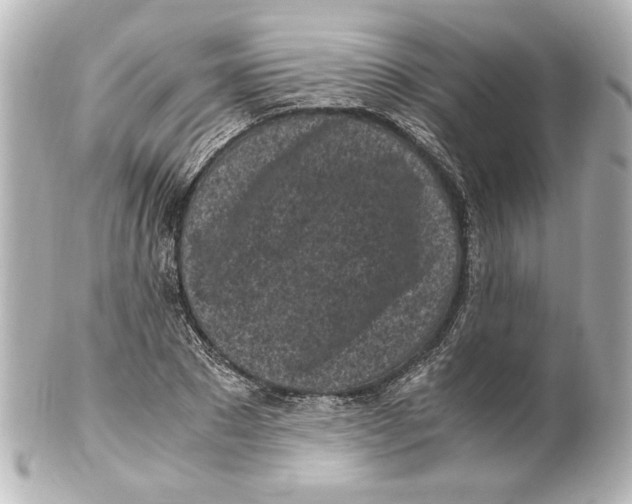 X0000101460881200808041039