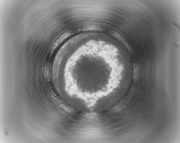 X0000101460882200808041039