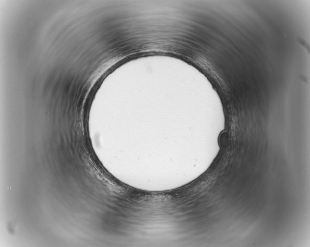 X0000101460884200808041039