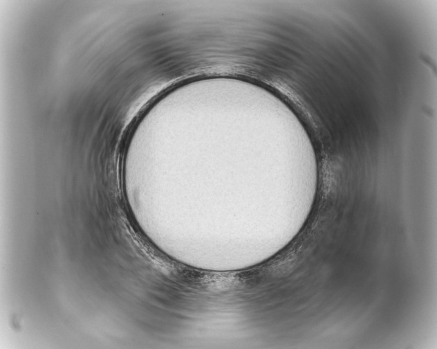 X0000101460886200808041039
