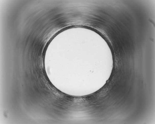 X0000101460887200808041039