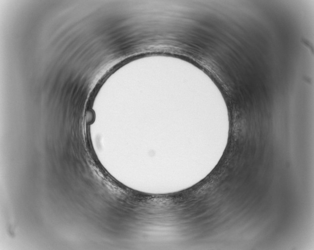 X0000101460888200808041039