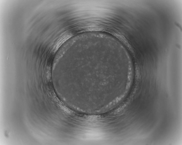 X0000101460889200808041039