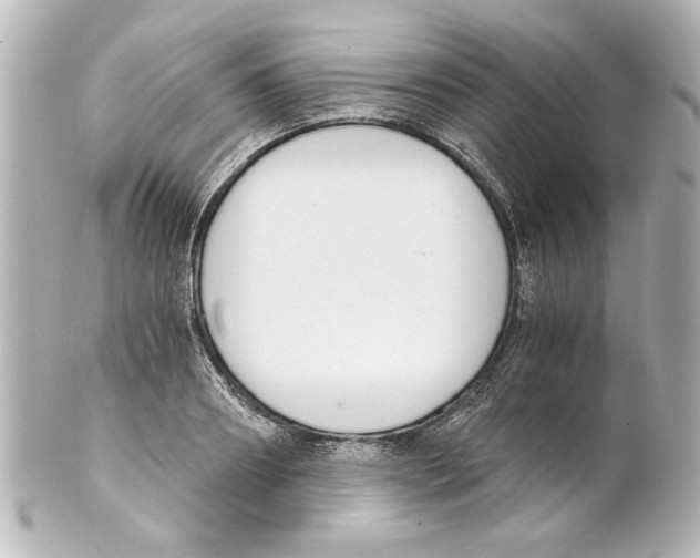 X0000101460890200808041039