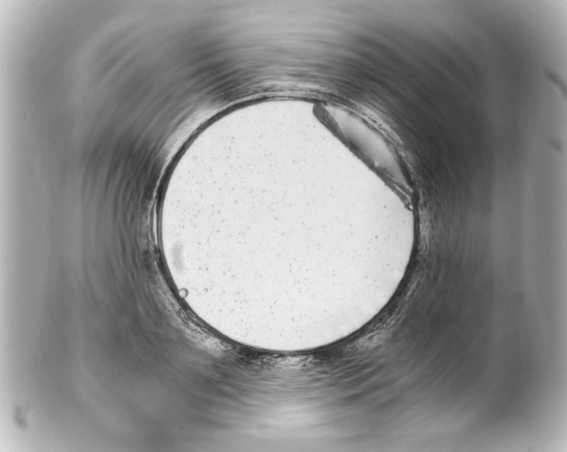 X0000101460891200808041039