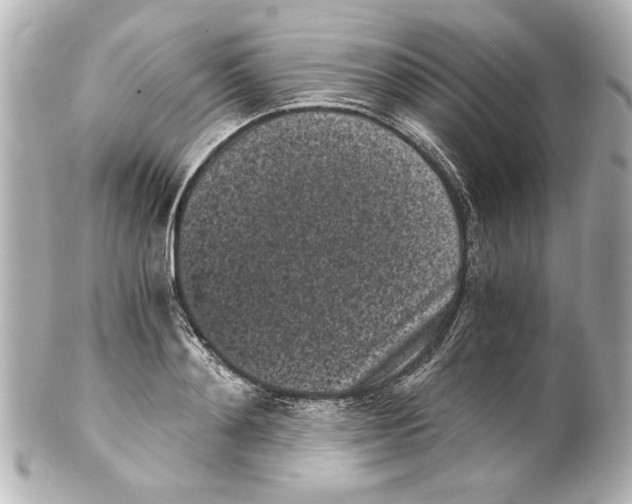 X0000101460892200808041039