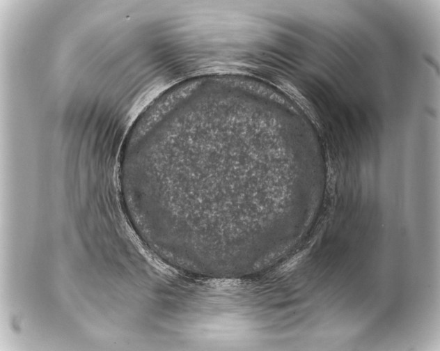 X0000101460893200808041039