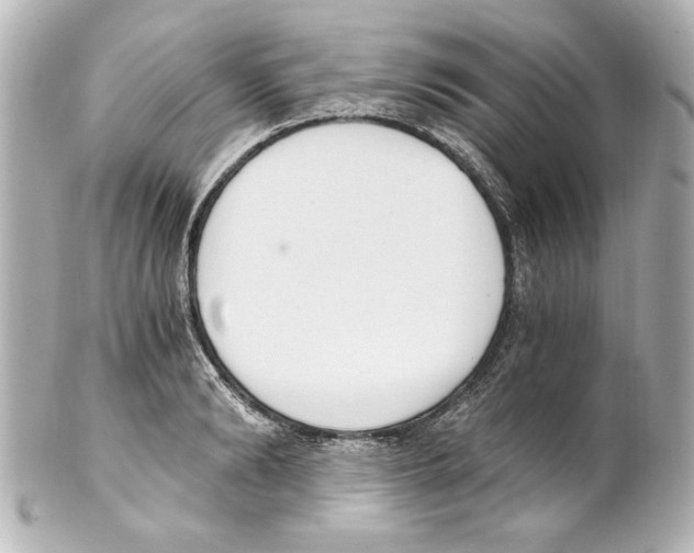 X0000101460894200808041039