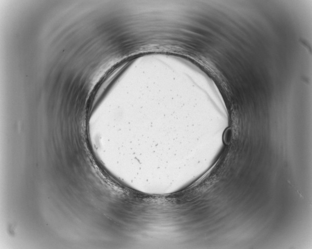 X0000101460896200808041039