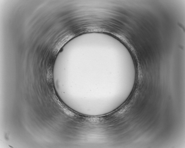 X0000101460897200808041039
