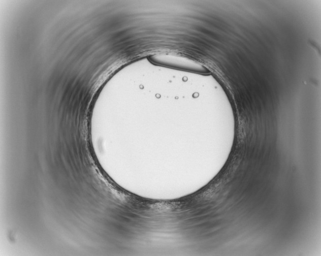 X0000101460898200808041039