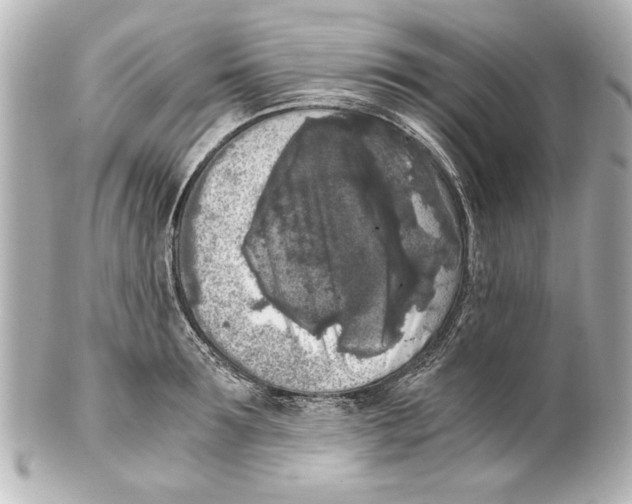 X0000101460899200808041039