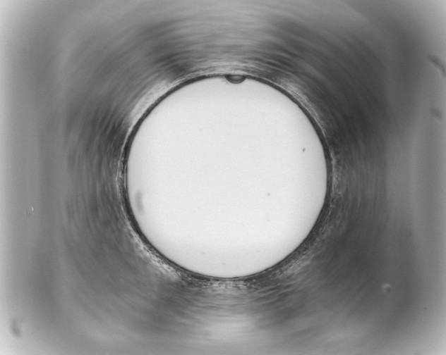 X0000101460901200808041039