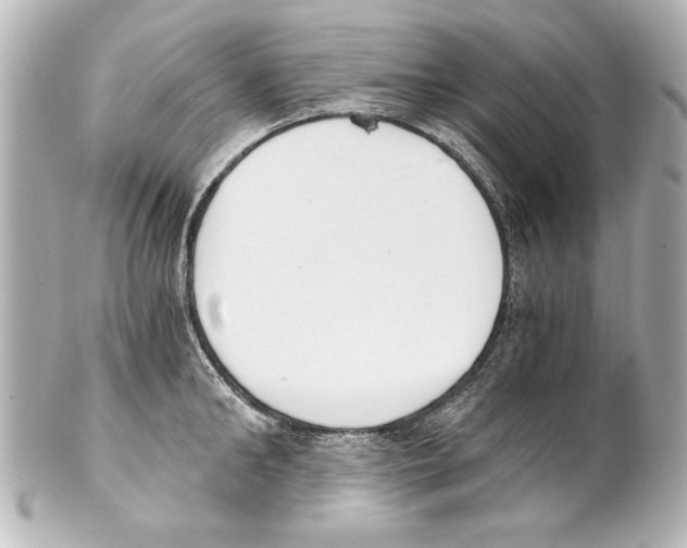 X0000101460902200808041039