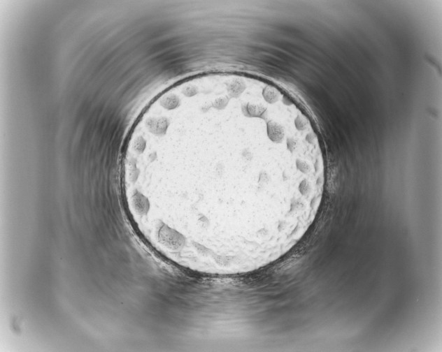 X0000101460903200808041039
