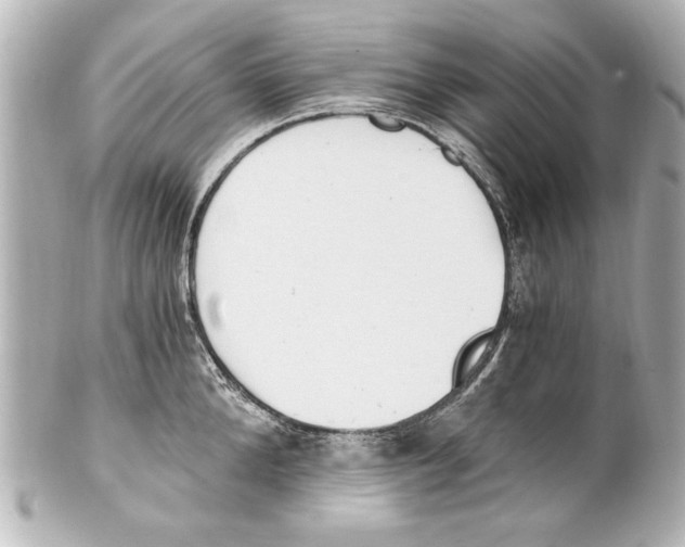 X0000101460904200808041039