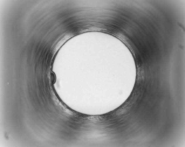 X0000101460906200808041039