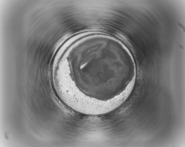 X0000101460907200808041039