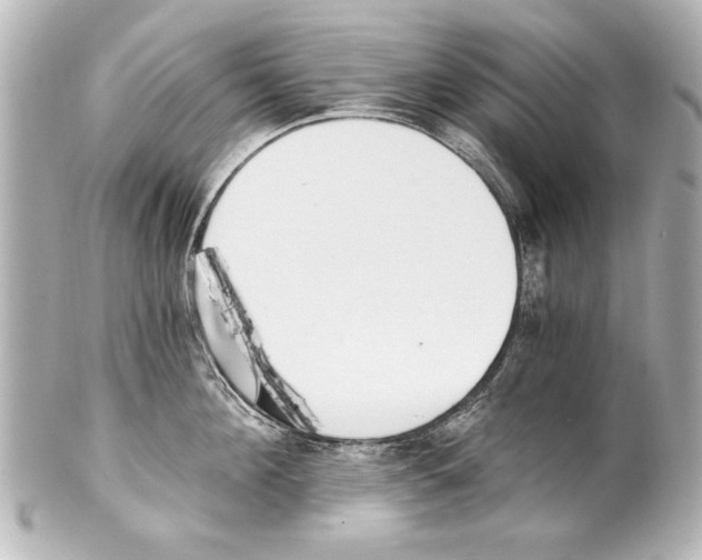 X0000101460908200808041039