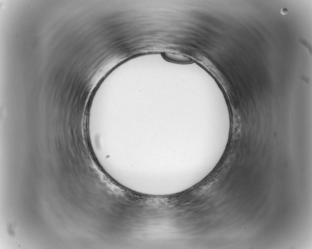 X0000101460909200808041039