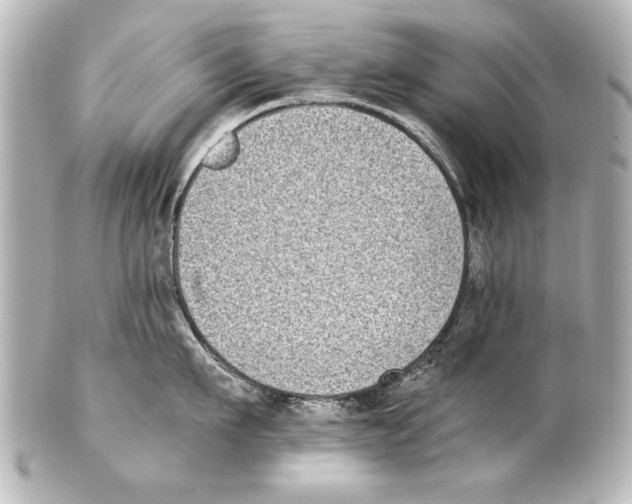 X0000101460911200808041039