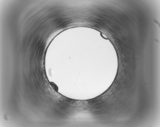 X0000101460912200808041039