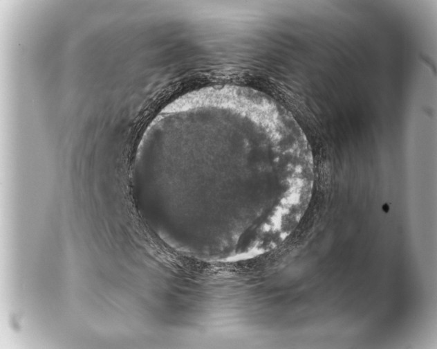 X0000101460913200808041038