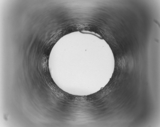 X0000101460914200808041038