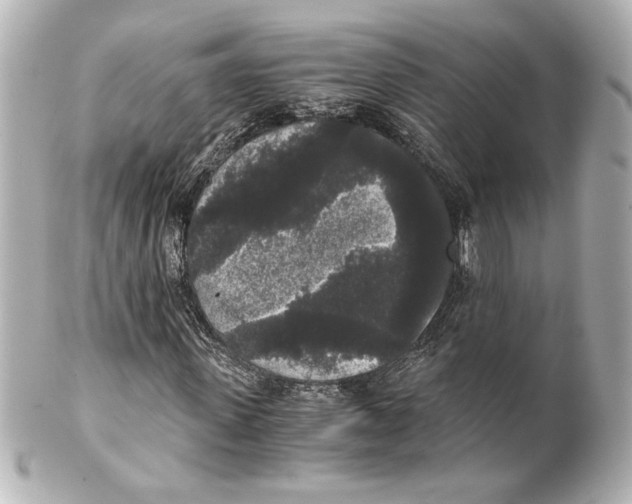 X0000101460915200808041038