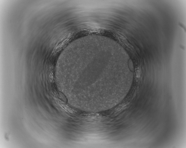 X0000101460916200808041038