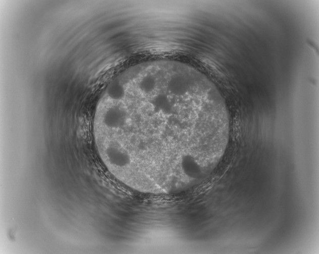 X0000101460917200808041038