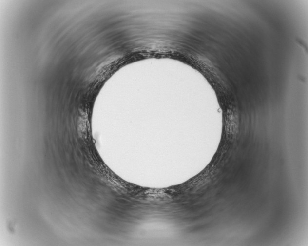 X0000101460918200808041038