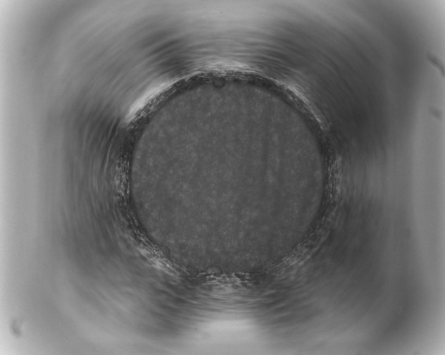 X0000101460919200808041038