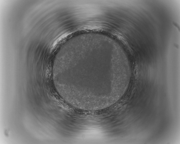 X0000101460920200808041038