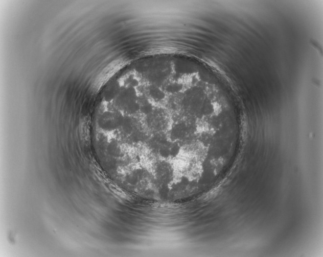 X0000101460921200808041038