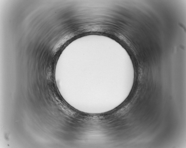 X0000101460922200808041038