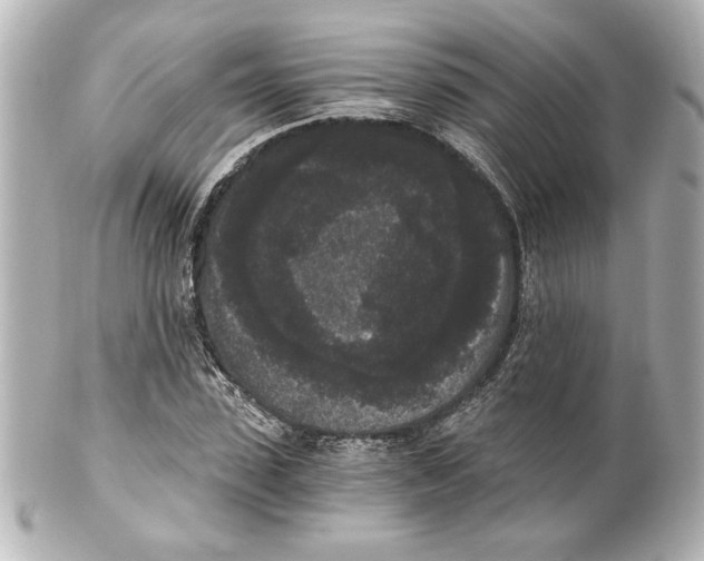 X0000101460923200808041038
