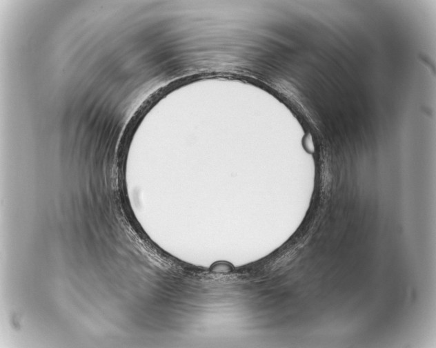 X0000101460924200808041038