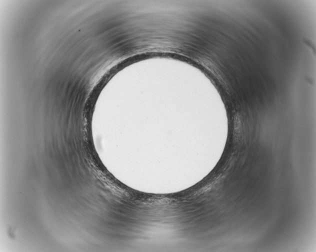X0000101460926200808041038