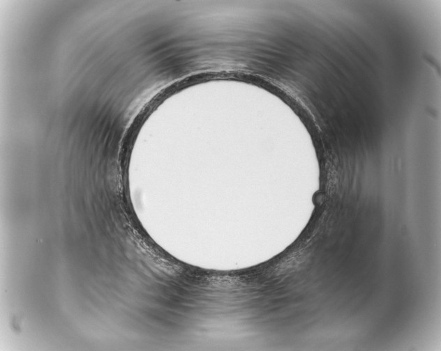 X0000101460927200808041038