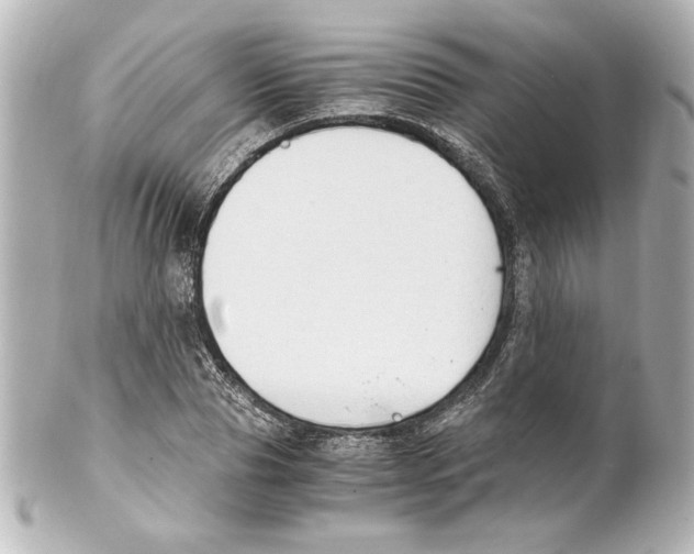 X0000101460929200808041038