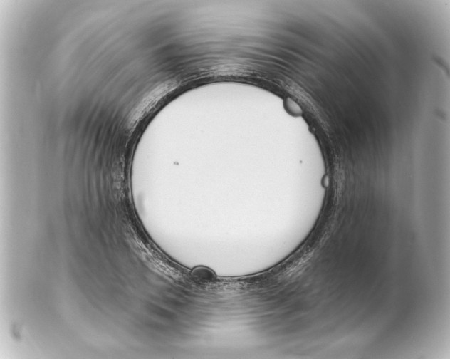 X0000101460930200808041038