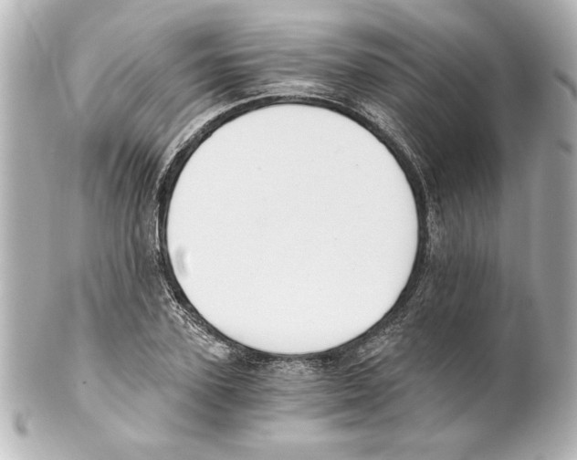 X0000101460931200808041038