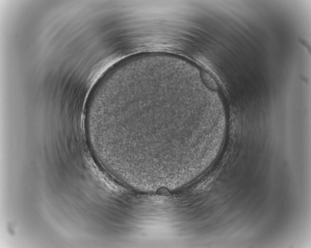 X0000101460932200808041038