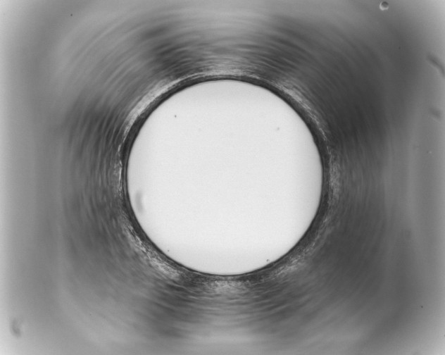 X0000101460933200808041038