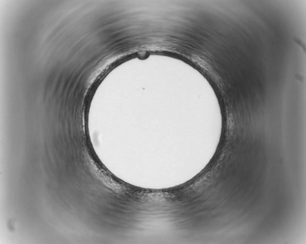 X0000101460934200808041038